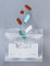 Σαφείς μικρές Ziplock τσάντες για τα χάπια, μίας χρήσης αεροστεγείς τσάντες κλειδαριών φερμουάρ προμηθευτής